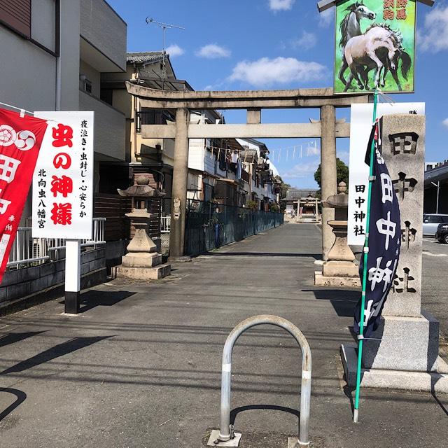 田中神社の参拝記録5