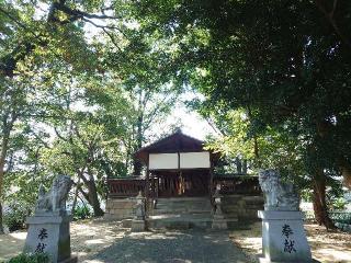 三栖神社の参拝記録(かいちゃんさん)