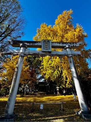 三栖神社の参拝記録(さくらさん)