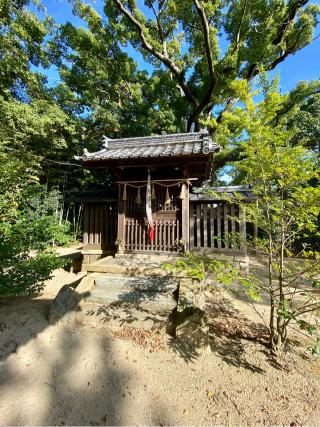 若宮八幡宮の参拝記録(さくらさん)