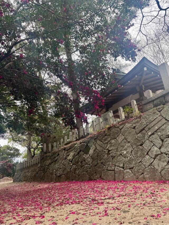 凉森神社の参拝記録1