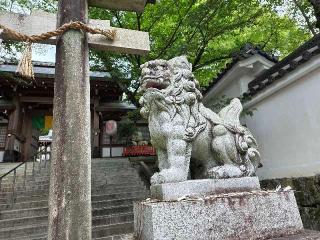 岩屋神社の参拝記録(飛成さん)