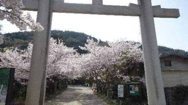 大石神社の参拝記録5