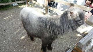 大石神社の参拝記録(ひろさんさん)