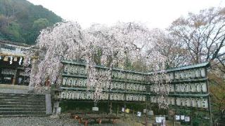 大石神社の参拝記録(ひろさんさん)
