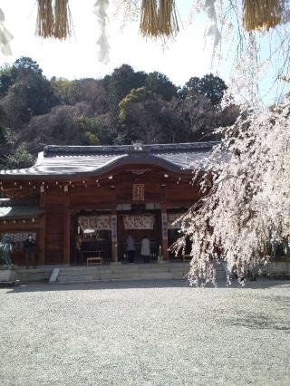 大石神社の参拝記録(たまりんさん)