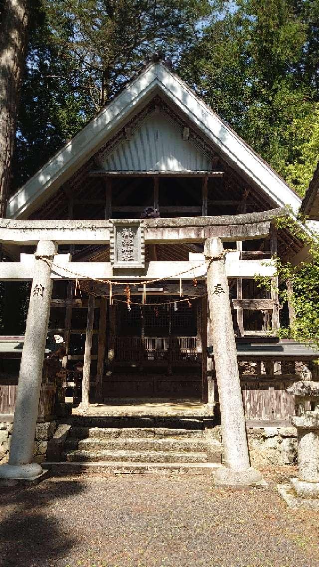 藤波神社の参拝記録(いもりさん)