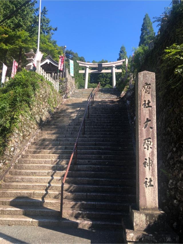 大山祇神社の参拝記録(jutasukeさん)