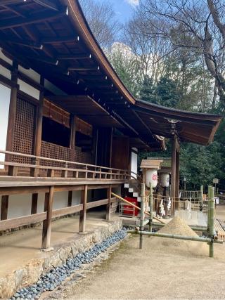 宇治上神社の参拝記録(さくらさん)