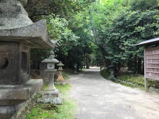 走田神社の参拝記録(じゃすてぃさん)