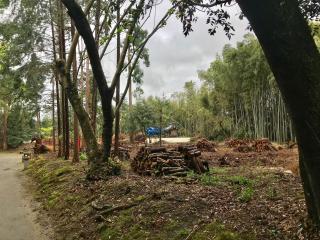 走田神社の参拝記録(じゃすてぃさん)
