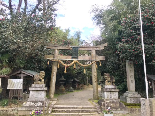 走田神社の参拝記録7