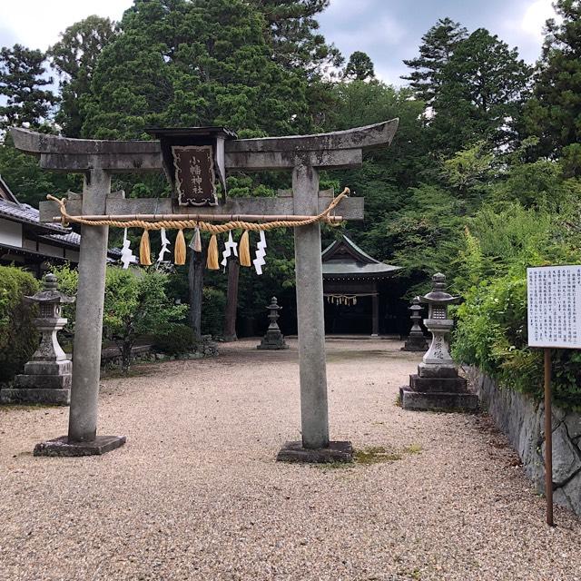 小幡神社の参拝記録1