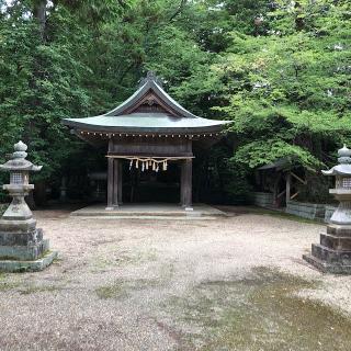 小幡神社の参拝記録(ワヲンさん)