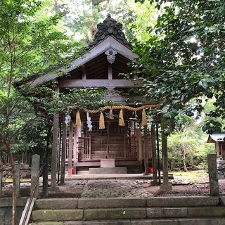 小幡神社の参拝記録(ワヲンさん)