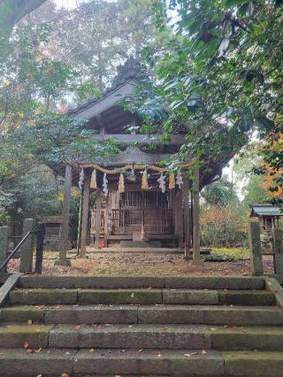 小幡神社の参拝記録(にゃんこさん)