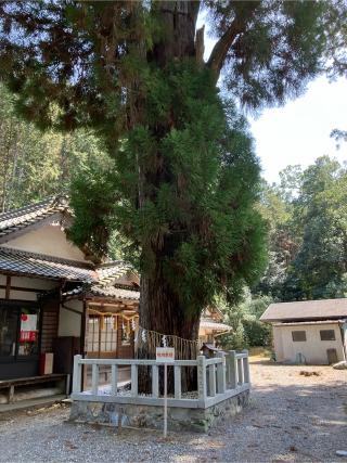 愛宕神社(元愛宕)の参拝記録(なきなきさん)
