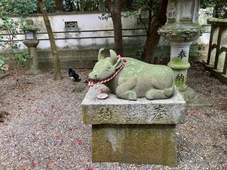 咋岡神社の参拝記録(すったもんださん)