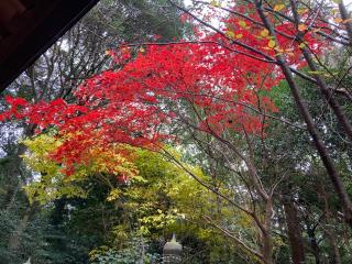 咋岡神社の参拝記録(すったもんださん)