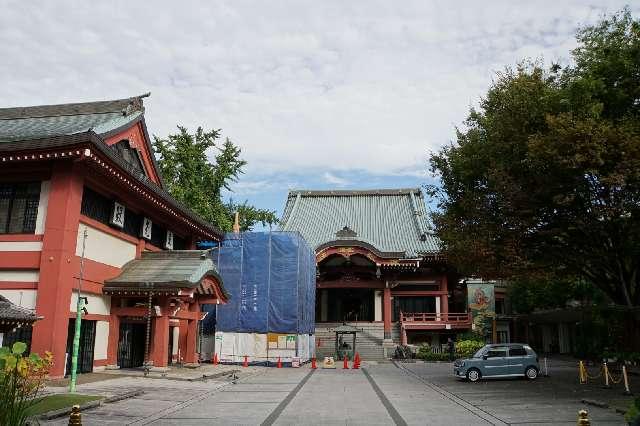 大宮山 東光寺の参拝記録9