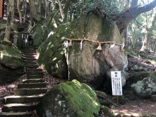 竹谷神社 (久美浜町新谷)の参拝記録(KUMIKOさん)