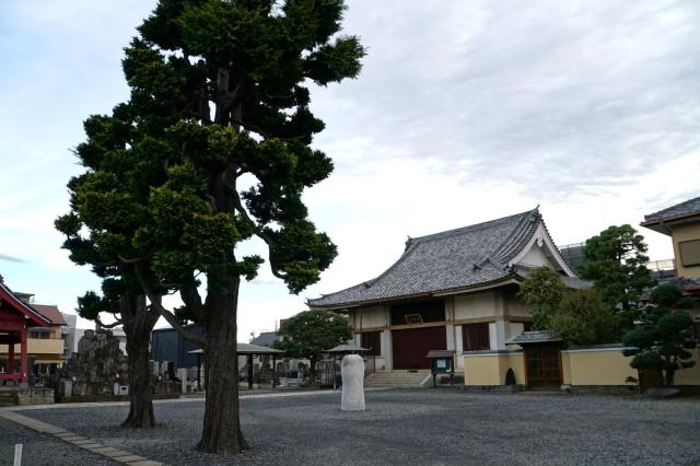 埼玉県さいたま市中央区本町東5-13-13 貞樹山観智院長伝寺の写真2