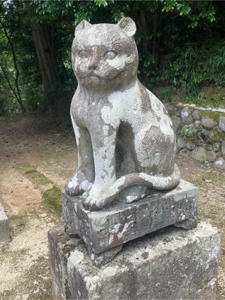金刀比羅神社の参拝記録(ジャムさん)