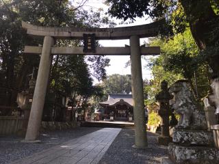 一宮神社の参拝記録(Crystalさん)