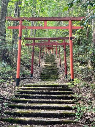岩室稲荷神社の参拝記録(コバルトブルーさん)
