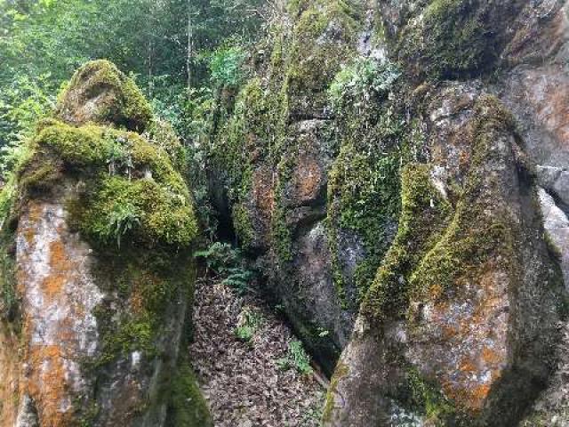 京都府舞鶴市寺田370 岩上神社 (舞鶴市寺田)の写真4