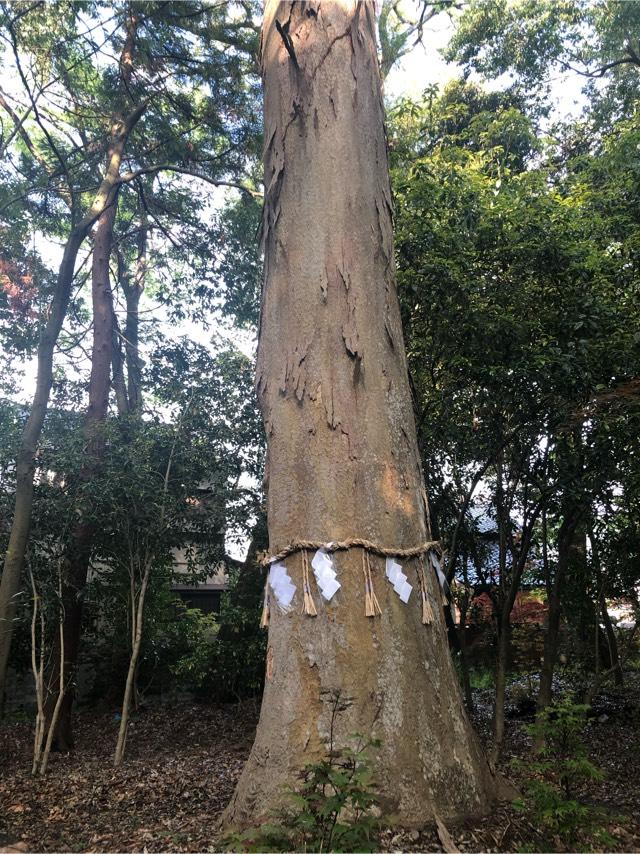 彌加宜神社(大森神社)の参拝記録5