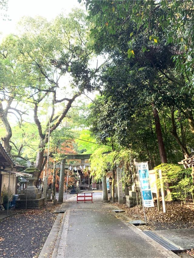 彌加宜神社(大森神社)の参拝記録4