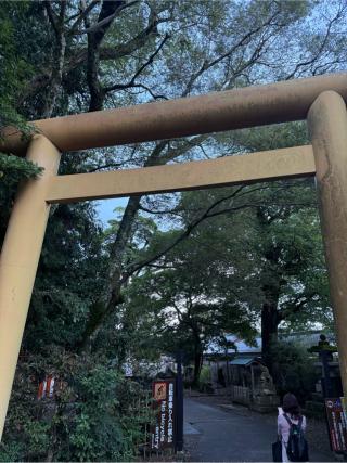籠神社 （元伊勢宮）の参拝記録(⛩️🐍🐢まめ🐢🐍⛩️さん)