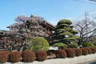 遍照山光明院の参拝記録(thonglor17さん)