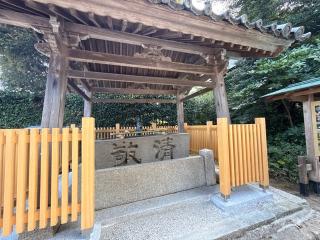山王宮日吉神社の参拝記録(コットンさん)