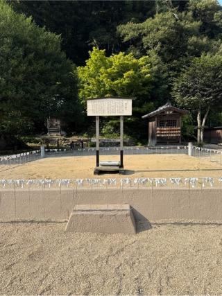 山王宮日吉神社の参拝記録(コットンさん)