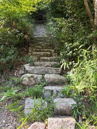 山王宮日吉神社の参拝記録(コットンさん)