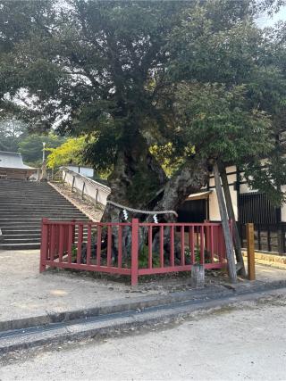 山王宮日吉神社の参拝記録(かまちゃんさん)
