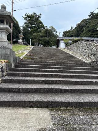 山王宮日吉神社の参拝記録(⛩️🐍🐢まめ🐢🐍⛩️さん)