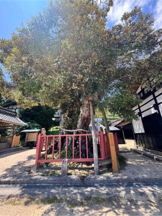 山王宮日吉神社の参拝記録(HIROROさん)