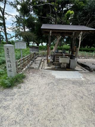 天橋立神社（橋立明神）の参拝記録(こーちんさん)