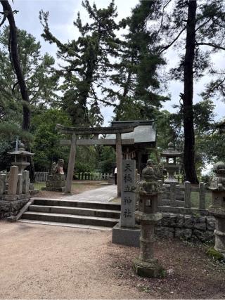 天橋立神社（橋立明神）の参拝記録(⛩️🐍🐢まめ🐢🐍⛩️さん)