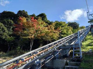 天橋立神社（橋立明神）の参拝記録(うさこさん)