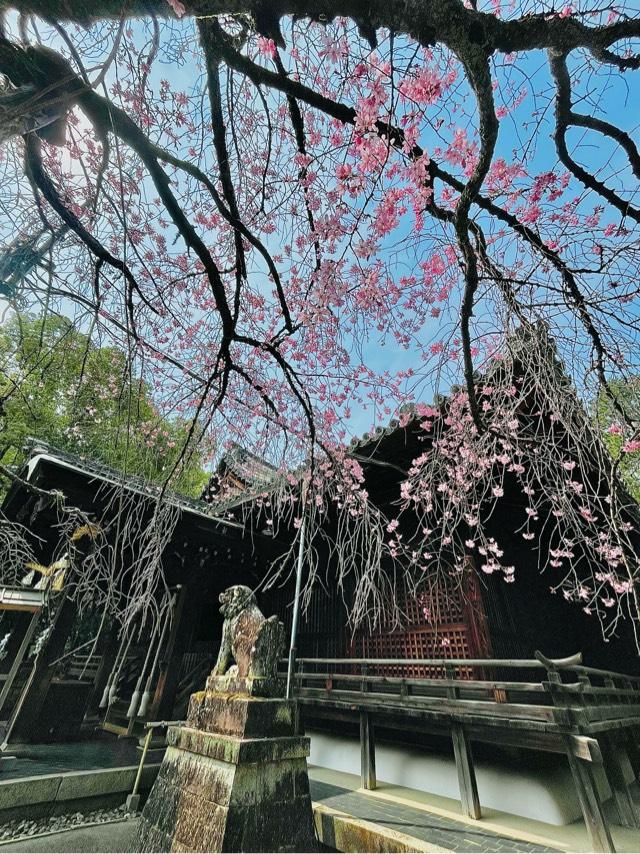 向日神社の参拝記録6