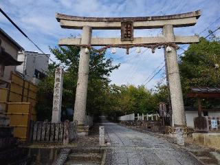 向日神社の参拝記録(Ｔさん🍁さん)