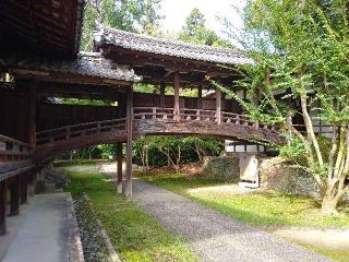 向日神社の参拝記録(Ｔさん🍁さん)