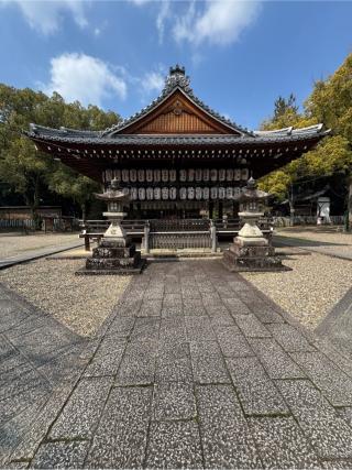 向日神社の参拝記録(こーちんさん)