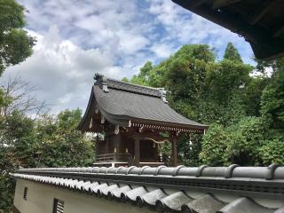 石田神社の参拝記録(じゃすてぃさん)