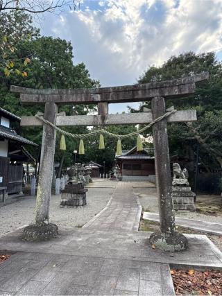 内神社の参拝記録(⛩️🐍🐢まめ🐢🐍⛩️さん)