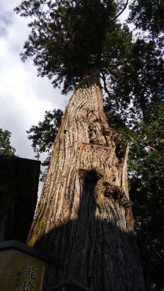 元伊勢外宮豊受大神社の参拝記録(天地悠久さん)